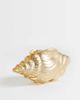 ASOS DESIGN ASOS DESIGN hair claw clip with conch shell design in brushed gold tone - 1