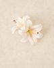 ASOS DESIGN ASOS DESIGN hair claw with faux lily flowers in pink-White - 2