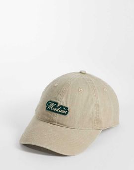 ASOS DESIGN ASOS DESIGN Montaña embroidered cap in stone-Neutral