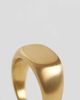 ASOS DESIGN ASOS DESIGN waterproof stainless steel oval flat top brushed signet ring in gold - 2