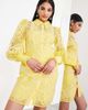 ASOS EDITION ASOS EDITION embroidered organza mini shirt dress in yellow - 1