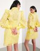 ASOS EDITION ASOS EDITION embroidered organza mini shirt dress in yellow - 4