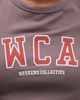ASOS Weekend Collective Weekend Collective Curve Icon baby tee with WCA graphic in gray - 2