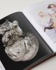 Assouline Assouline Chic Cats book - 5