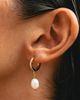 Atolea Atolea Freshwater Pearl Hoop Earrings - 5