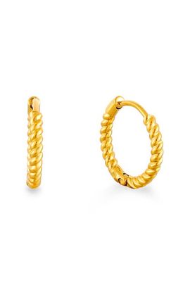 Atolea Atolea Twisted Hoops Earrings