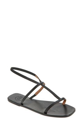 ATP ATELIER ATP ATELIER Delebbio Ankle Strap Sandal
