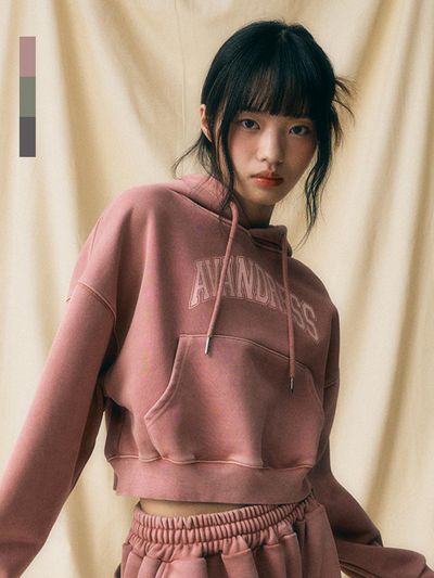 AVANDRESS Pigment Overfit Crop Hoodie [3COL]