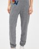 Aviator Nation Aviator Nation Logo Sweatpants Heather Grey - 3