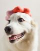 Awoo Wiggle Ring Felt Toy - 1