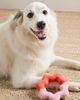 Awoo Wiggle Ring Felt Toy - 4
