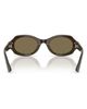 AX Armani Exchange AX Armani Exchange 49mm Irregular Oval Sunglasses - 5