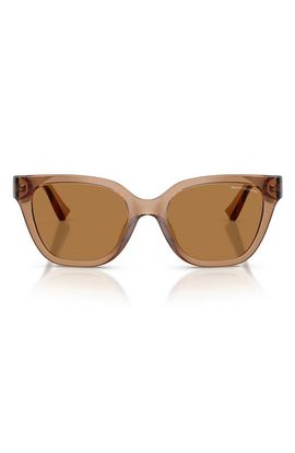 AX Armani Exchange AX Armani Exchange 53mm Cat Eye Sunglasses