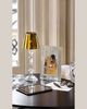 Baccarat Our Fire Candleholder & Shade - 2