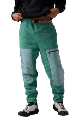 Backcountry Backcountry Wander Pile-Fleece Pant - Men's