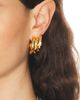 Balenciaga Balenciaga St. Germain XL Earrings - 2