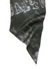 Balenciaga Women's Washed Crayon Scarf - 3