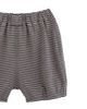 Banblu Banblu Dog Stripe Set - 5