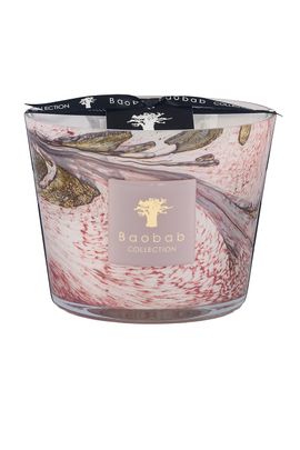 Baobab Collection Baobab Collection Leaves Manon Classique Candle