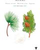 Baobab Collection Baobab Collection Miami Body & Hand Lotion - 3