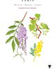 Baobab Collection Baobab Collection Paris Gift Box - 2