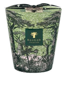Baobab Collection Baobab Collection Sacred Trees Touba Signature Candle