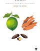 Baobab Collection Baobab Collection Sand Siloli Diffuser - 2