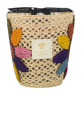 Baobab Collection Baobab Collection Tournesol Girasol Signature Candle