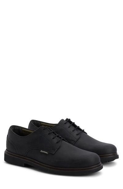 Barbour Barbour Carthy Plain Toe Derby