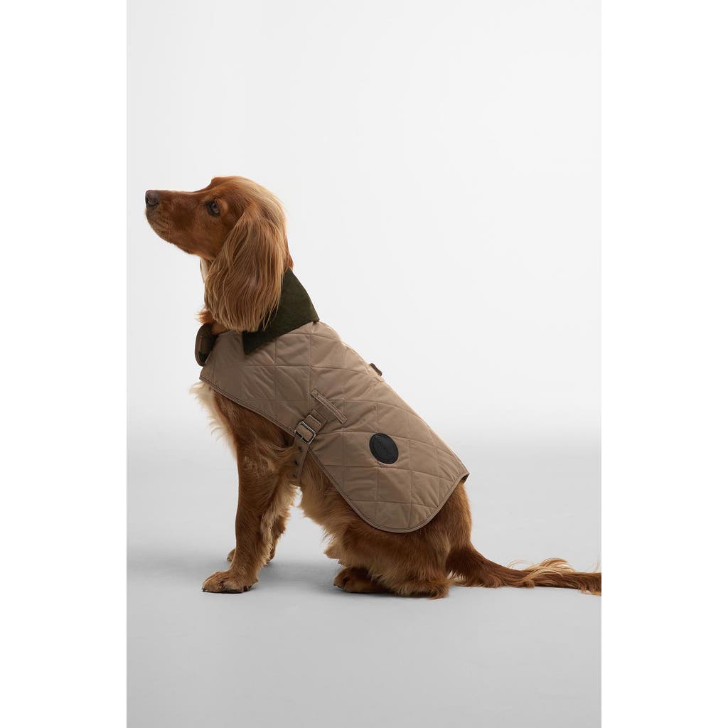 Barbour Barbour Quilted Nylon Dog Coat