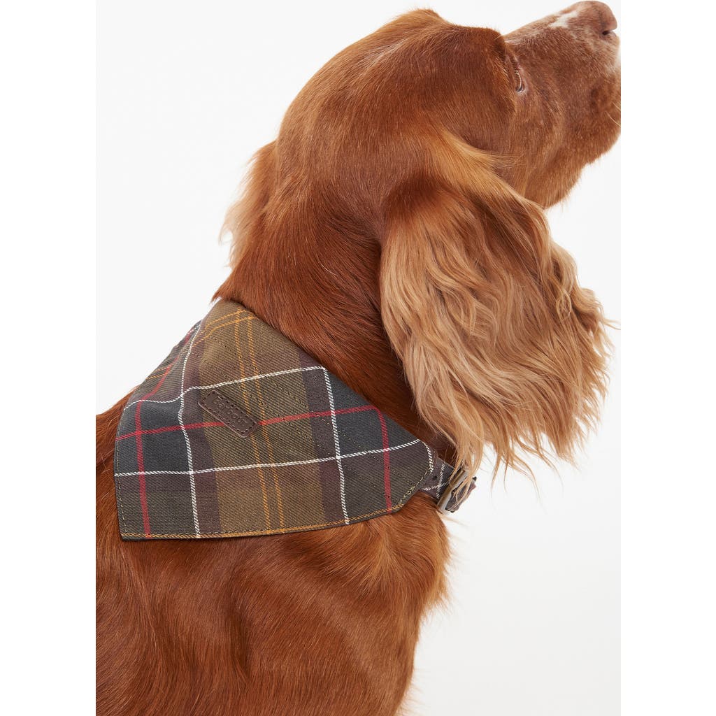 Barbour Barbour Tartan Dog Bandana