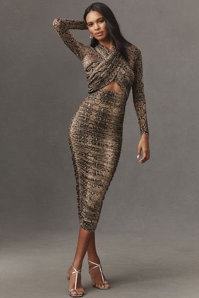 Bardot Dresses