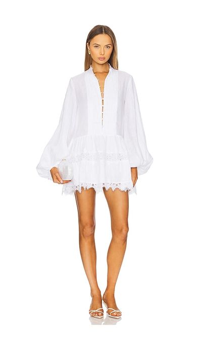 Bardot Dresses Bardot Dresses