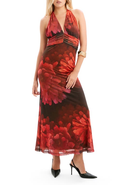 Bardot Bardot Elera Print Halter Mesh Maxi Dress