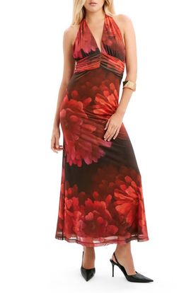 Bardot Bardot Elera Print Halter Mesh Maxi Dress
