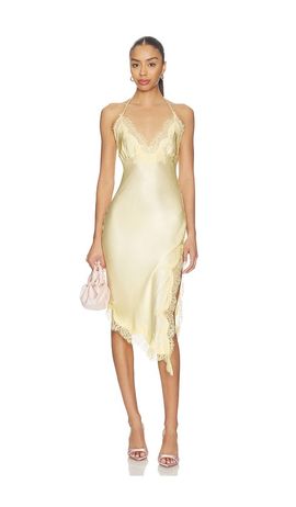 Bardot Dresses