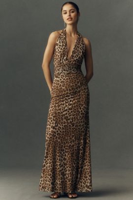 Bardot Dresses Bardot Dresses