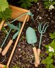 Barebones Mint Spade Hand Trowel - 3