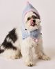 BarkBarkBaby Hat & Bandana Pet Set - 1