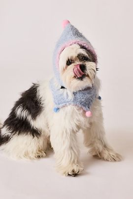 BarkBarkBaby Hat & Bandana Pet Set