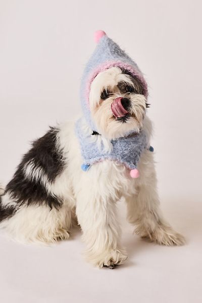 BarkBarkBaby Hat & Bandana Pet Set