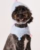 BarkBarkBaby Hat & Bandana Pet Set - 2