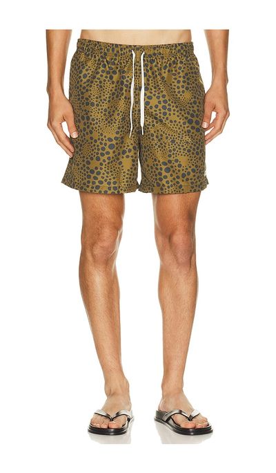 Bather Bather Croc Speckle Swim Trunk