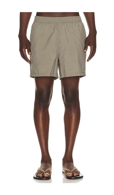 Bather Bather Fossil Seersucker Swim Trunks