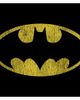 Batman Batman Boys' Logo Retro Caped Crusader Short Sleeve Graphic T-Shirt - 2