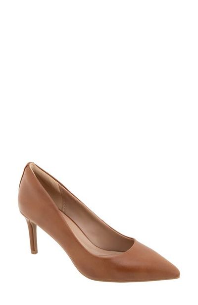 bcbg bcbg Clara Pointed Toe Pump