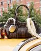 BDG BDG Xion Shoulder Bag in Black, Women's at Urban Outfitters - 1