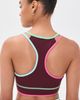 Beach Riot Beach Riot Anari Sports Bra RASPBERRY BLOOM COLORBLOCK - 3
