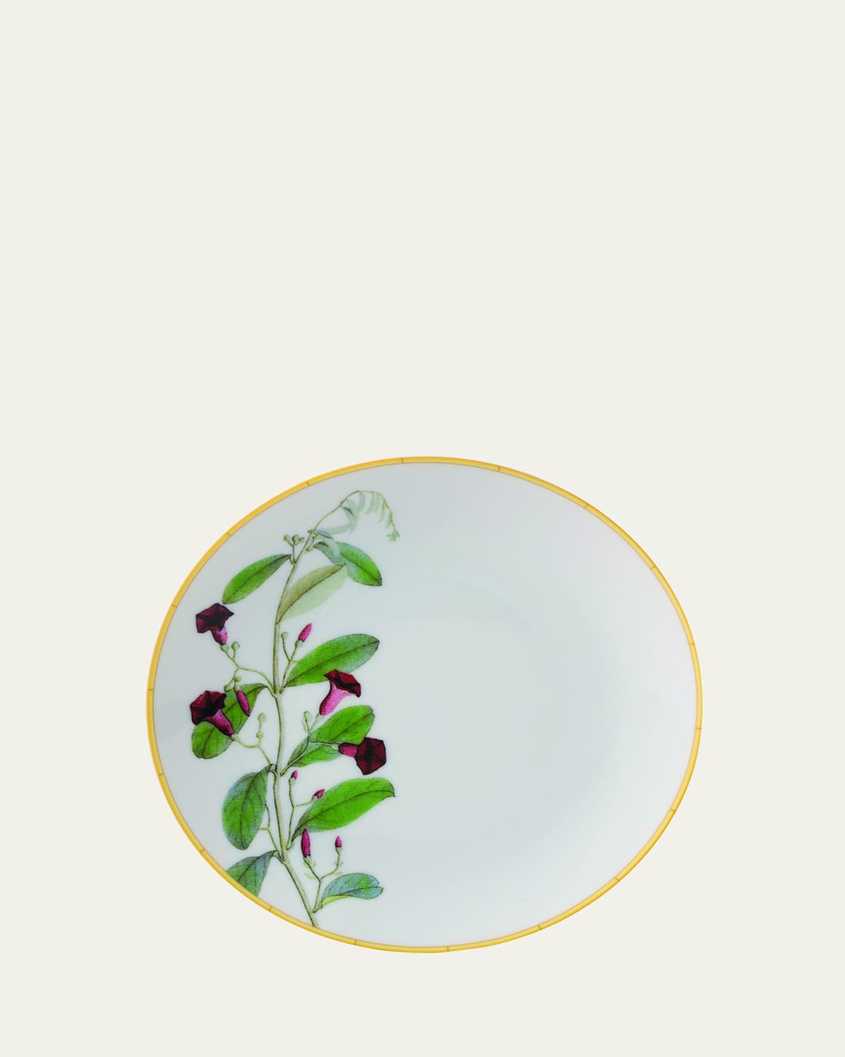 Bernardaud Jardin Indien Bread & Butter Plate