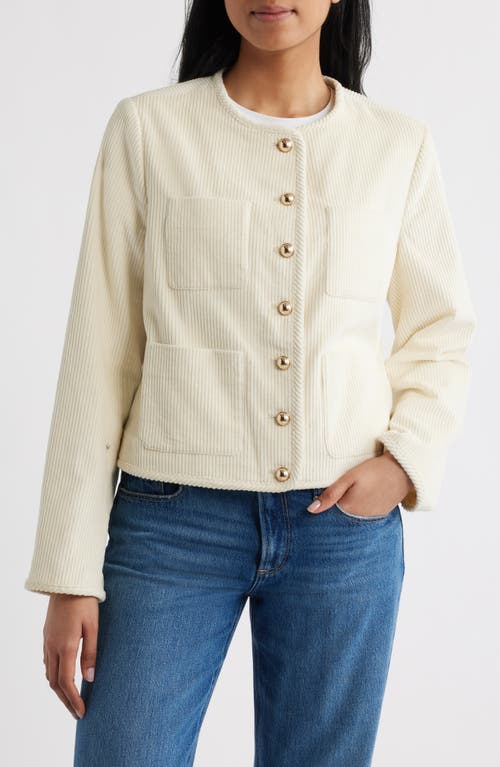 Bernardo Bernardo Cotton Corduroy Jacket